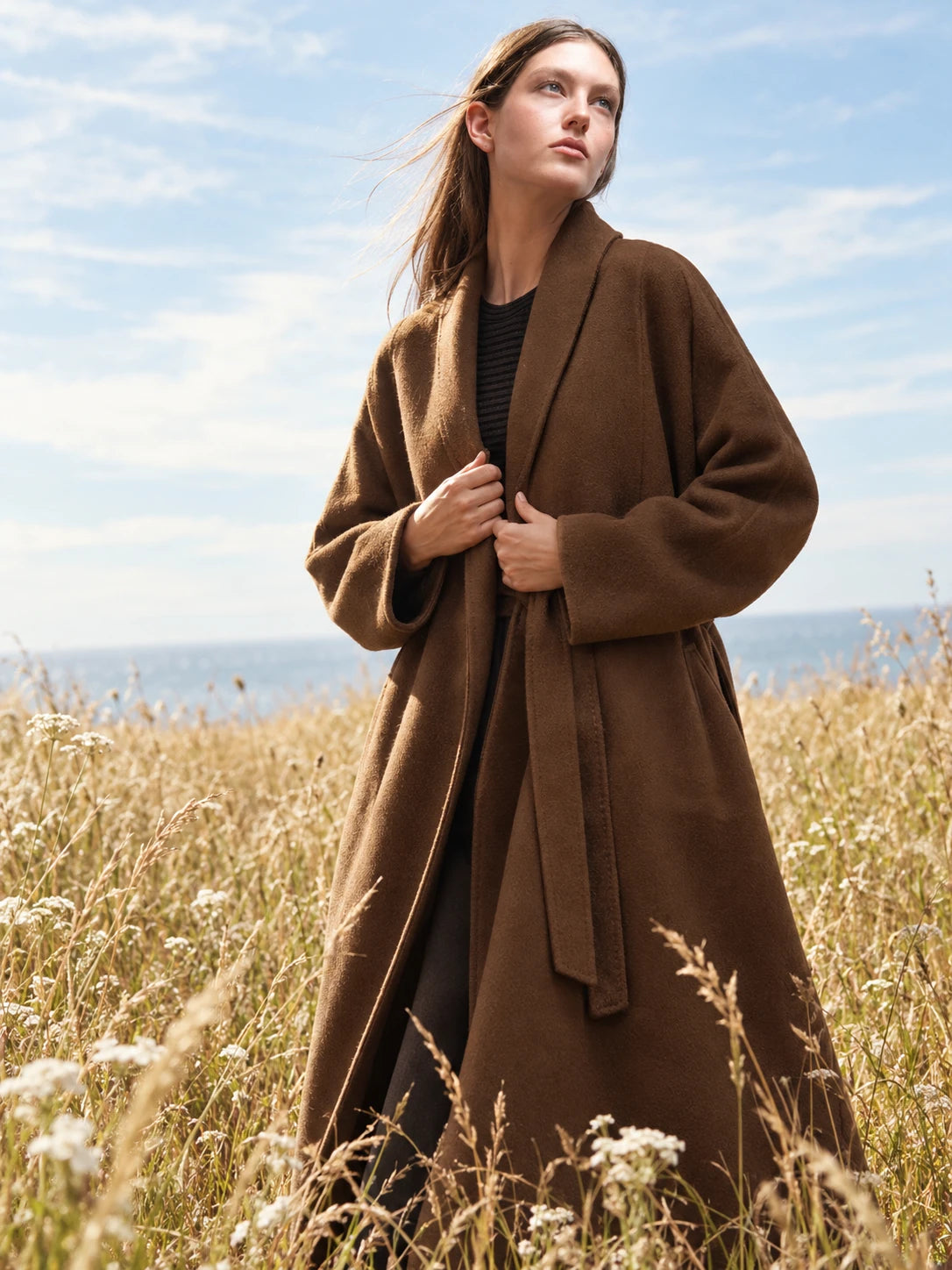 Brown coat among sunlit grasses